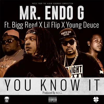 Bigg ReedOmega SinK-Fix You Know It (feat. Lil Flip, Bigg Reed & Young Deuce)