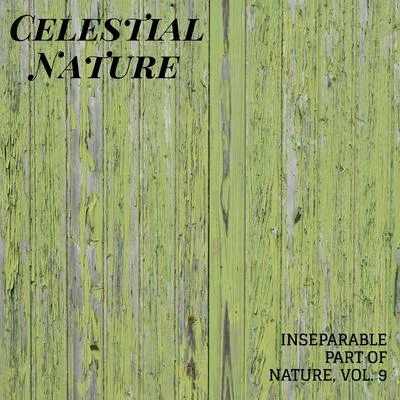 Celestial Nature - Inseparable Part of Nature, Vol. 9 專輯 Rain Sounds For Sleep/Zarobi/Natural Rain Sounds for Sleeping