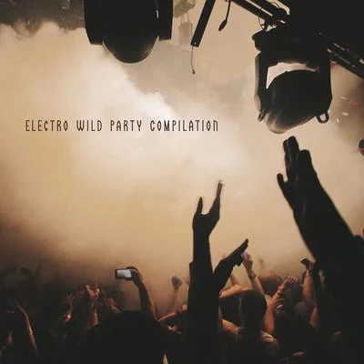 Electro Wild Party Compilation - Rhythmic Chillout Music Perfect for a House Party 专辑 Evening Chill Out Music Academy/Ibiza 2017