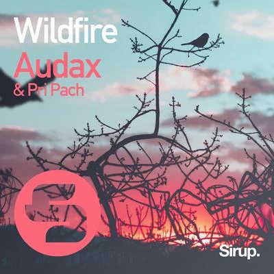 Wildfire 专辑 Audax