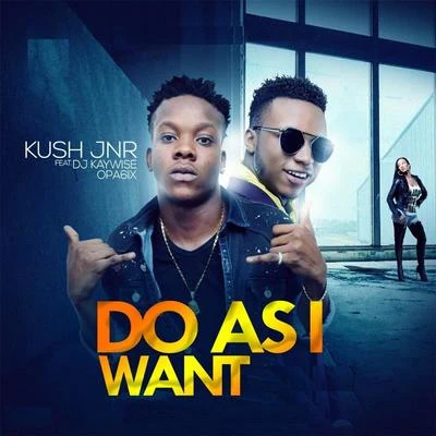 Do as I Want (feat. DJ Kaywise & Opa6ix) 專輯 Dj Kaywise