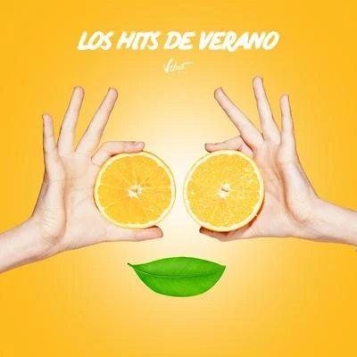 Los Hits de Verano 專輯 DJ Groove/Burito