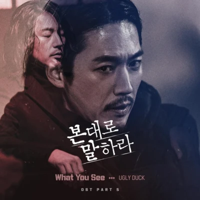 Ugly Duck 본 대로 말하라 OST Part.5