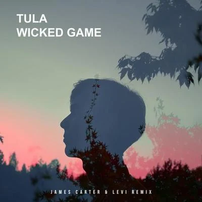 Wicked Game(James Carter & Levi Remix ) 专辑 James Carter/Klei