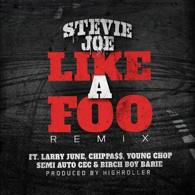 Like a Foo 专辑 Stevie Joe