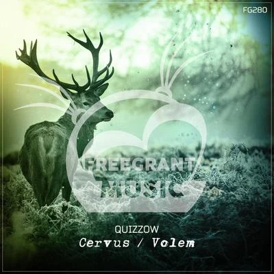 CervusVolem 专辑 Infinoise/Quizzow