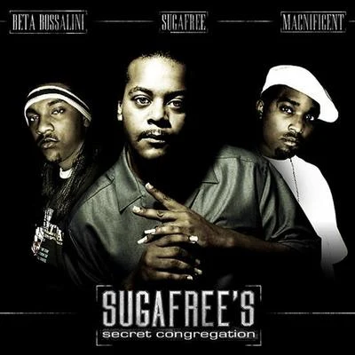 Secret Congregation 專輯 Suga Free/Rappin 4-Tay/Nate Dogg