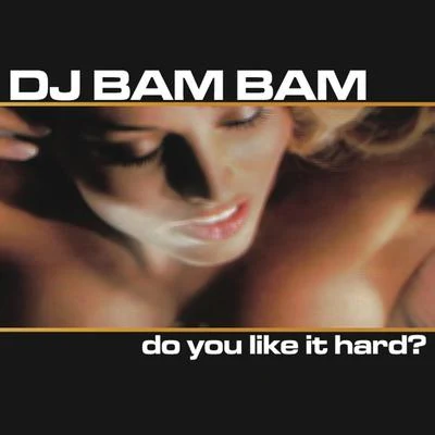 DJ Bam BamDavoodi Do You Like It Hard? (Continuous DJ Mix by DJ Bam Bam)