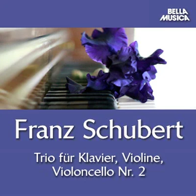 Schubert: Trio No. 2 für Klavier, Violine u. Violoncello 專輯 Robert Conway/Paul Schoenfield/Debra Fayroian/Juliette Kang/Henry Meyer