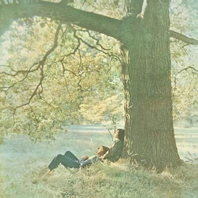 Plastic Ono Band 專輯 The Plastic Ono Band/Yoko Ono/Whitney Houston/Oleta Adams/Queen