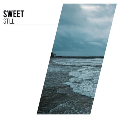 #Sweet Still 專輯 Rainforest Ambience/Rain Sounds