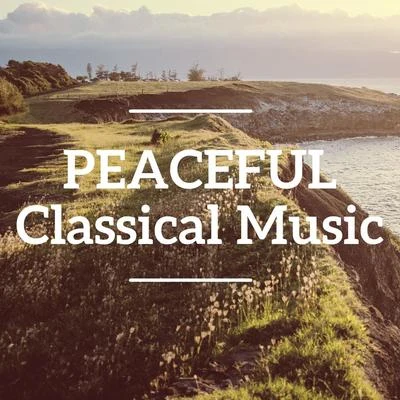 Peaceful Classical Music 專輯 可兒 (Kani)/Franz Liszt