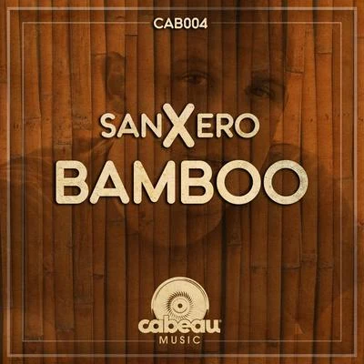 Bamboo 专辑 Beth Hirsch/sanXero