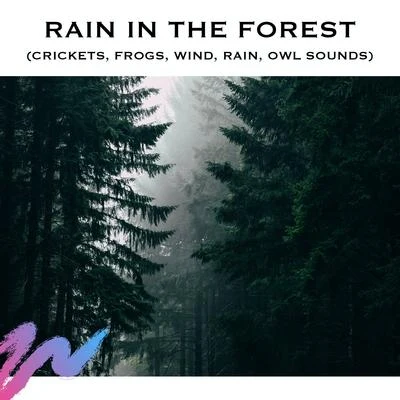 Rain in the Forest (Crickets, Frogs, Wind, Rain, Owl Sounds) 专辑 ASMR/Loopable Radiance/Nature & Sounds Backgrounds