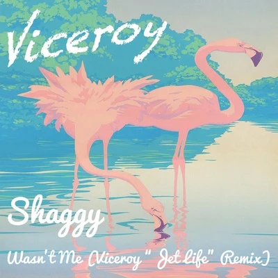 Wasn&#x27;t Me (Viceroy Jet Life Remix) 专辑 Viceroy