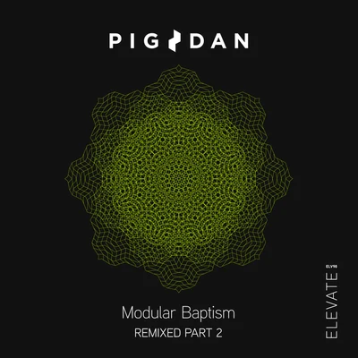 Modular Baptism Remixed, Pt. 2 專輯 Pig&Dan