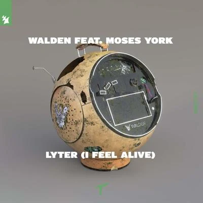 Lyter (I Feel Alive) 专辑 Walden