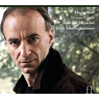 Wolf: Mörike-Lieder 专辑 Irwin Gage/Dietrich Henschel