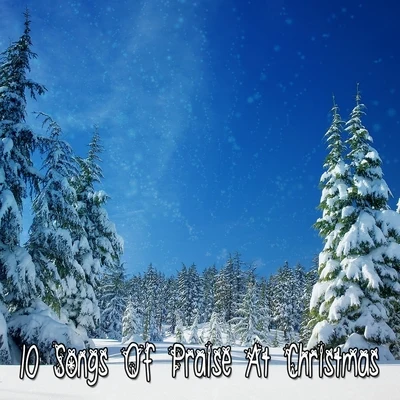 10 Songs Of Praise At Christmas 专辑 Christmas Hits/Christmas Music/Christmas Music Santa