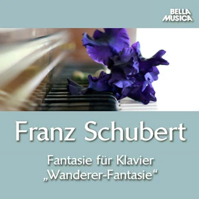 Schubert: Klaviermusik 專輯 Dinah Bryant/Daniel Blumenthal