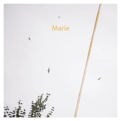 Marie 专辑 AnnenMayKantereit