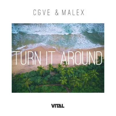 Turn It Around 專輯 FROSTVIB3/CGVE