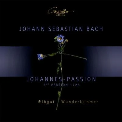 Johann Sebastian Bach - Johannes-Passion (2nd Version. 1725) 专辑 Sarah Perl/Martin Seemann/Mira Lange/Wunderkammer