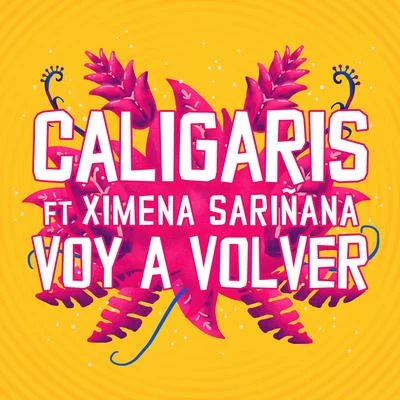 Voy a Volver 專輯 Ximena Sariñana