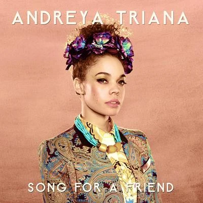 Song For A Friend 專輯 Pop Levi/Andreya Triana/Spank Rock/Sarah Jones/Fink