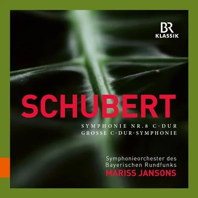 SCHUBERT, F.: Symphony No. 9, "Great" (Bavarian Radio Symphony, Jansons) 专辑 Bavarian Radio Symphony Orchestra/Andris Nelsons/Barbara Hannigan