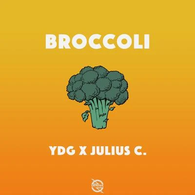 Broccoli 專輯 VRG/YDG