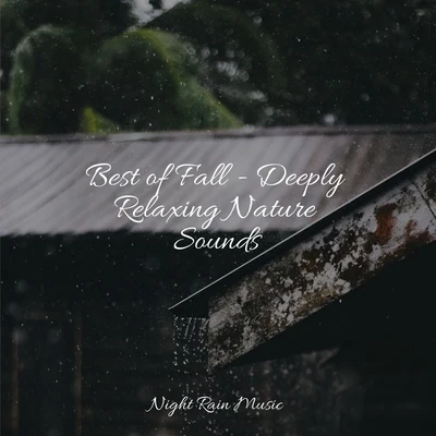 Sons da natureza HDMassagem Coleção de MúsicasNatureza Best of Fall - Deeply Relaxing Nature Sounds