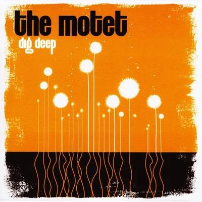 Dig Deep 專輯 The Motet/Stanton Moore/Jeff Franca