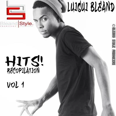 Hits! Recopilation [Mixtape 2010] 专辑 Pedrina/Luigui Bleand