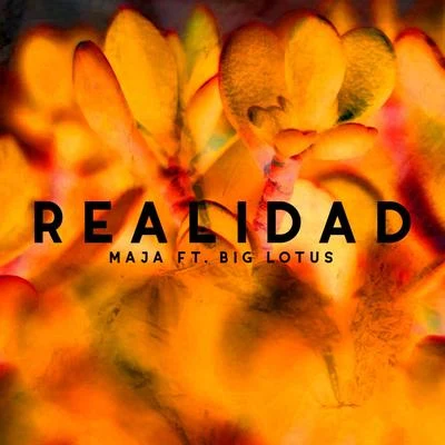 Realidad (feat. Big Lotus) 專輯 Granyte/Alpha Riff/MAJA