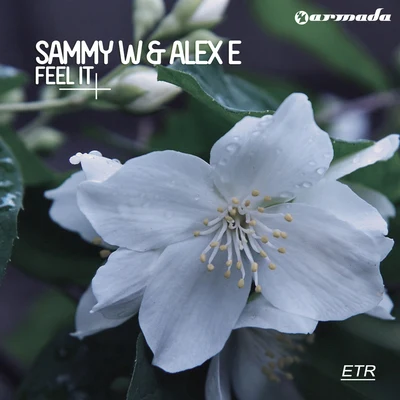 Feel It 專輯 Sammy W