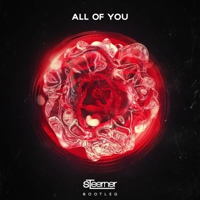 All Of You (Steerner Bootleg) 专辑 Felipe C/Steerner/Kourosh Tazmini/Vuk Lazar/Anda Adam