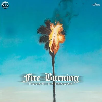 Fire Burning 专辑 BiggaDread/Micah Shemaiah