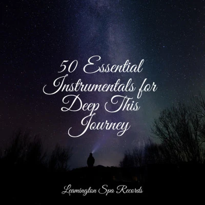 50 Essential Instrumentals for Deep This Journey 專輯 Nature Noise