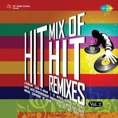 Hit Mix Of Hit Remixes Vol 2 专辑 Pamela Jain/Javed Ali