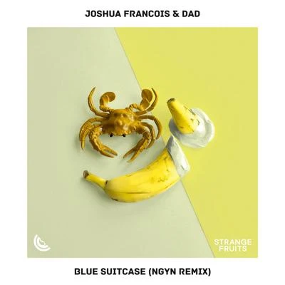 Blue Suitcase (Ngyn Remix) 專輯 Joshua Francois/Franco Junior