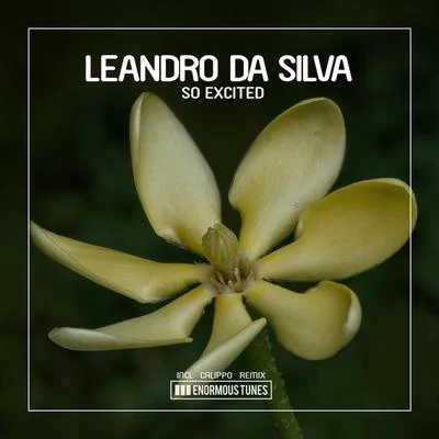 So Excited 专辑 Dennis Beutler/Leandro Da Silva