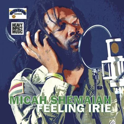 Feeling Irie 专辑 BiggaDread/Micah Shemaiah