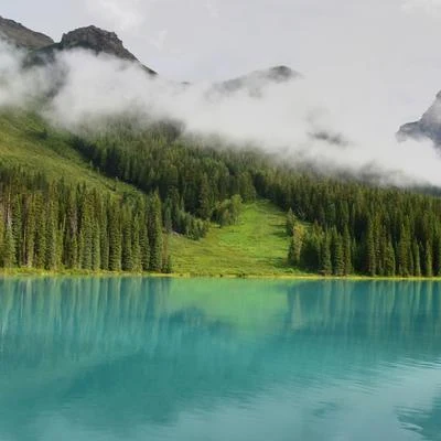 60 Temas Para Ayudarte A Relajarte 專輯 Mantra para Meditar/Musica relajante con sonidos de la naturaleza/Lluvia PQ