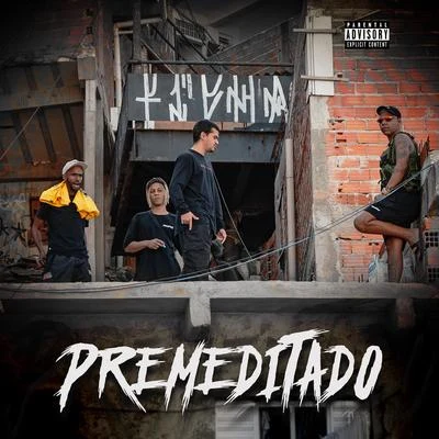 Premeditado 专辑 Rincon Sapiência/Spinardi/PrimeiraMente/Pedro Lotto