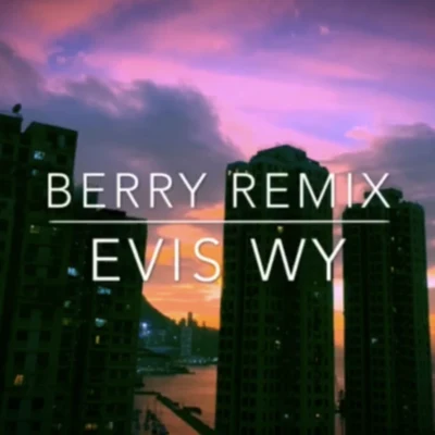 BERRY 專輯 Evis WY/$hadow