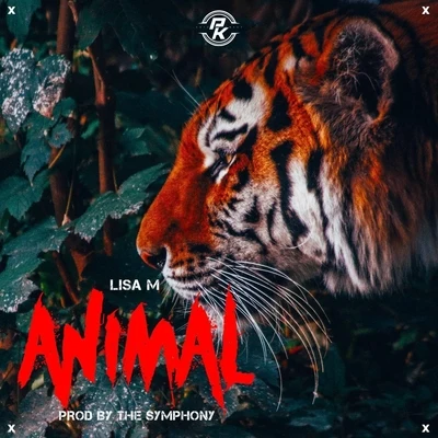 Animal 專輯 Lisa M/Ñengo Flow