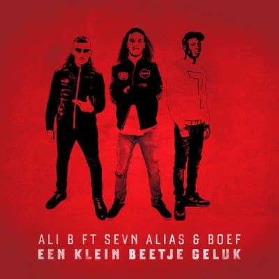 Een Klein Beetje Geluk (feat. Boef & Sevn Alias) 專輯 STUK/Ali B