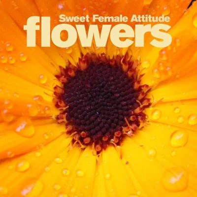 Flowers 專輯 Sweet Female Attitude