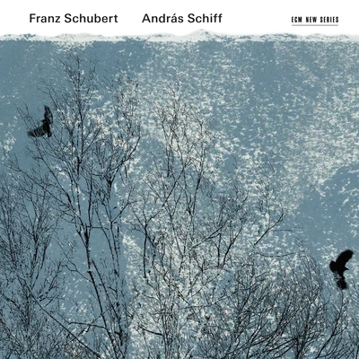 Franz Schubert 专辑 András Schiff